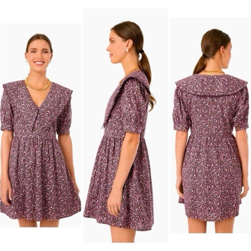 Tuckernuck Collared Mini Dress